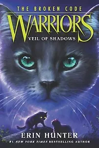 The Broken Code Warriors Veil of Shadows