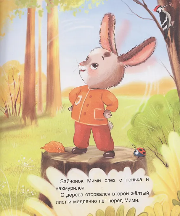 Книга Зайчонок Мими уже большой! (Анастасия Орлова) — 5