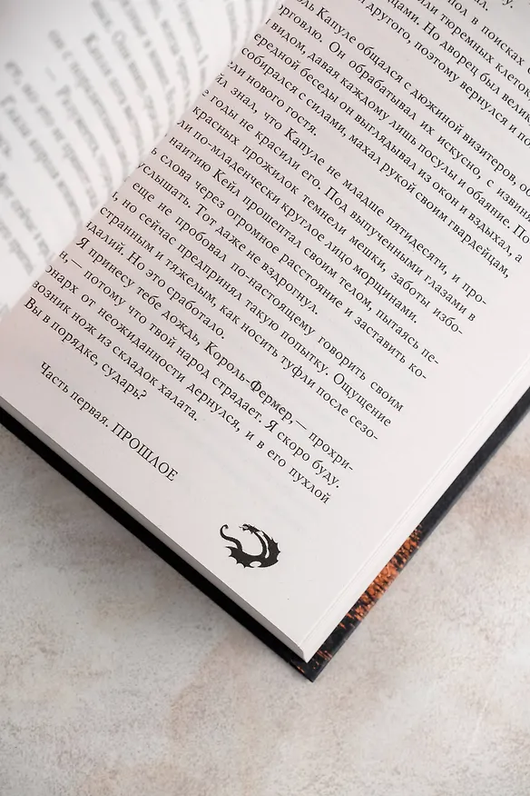 Книга Короли пепла (Ричард Нелл) — 12