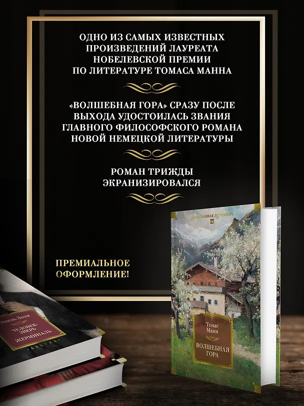 Книга Волшебная гора (Томас Манн) — 7