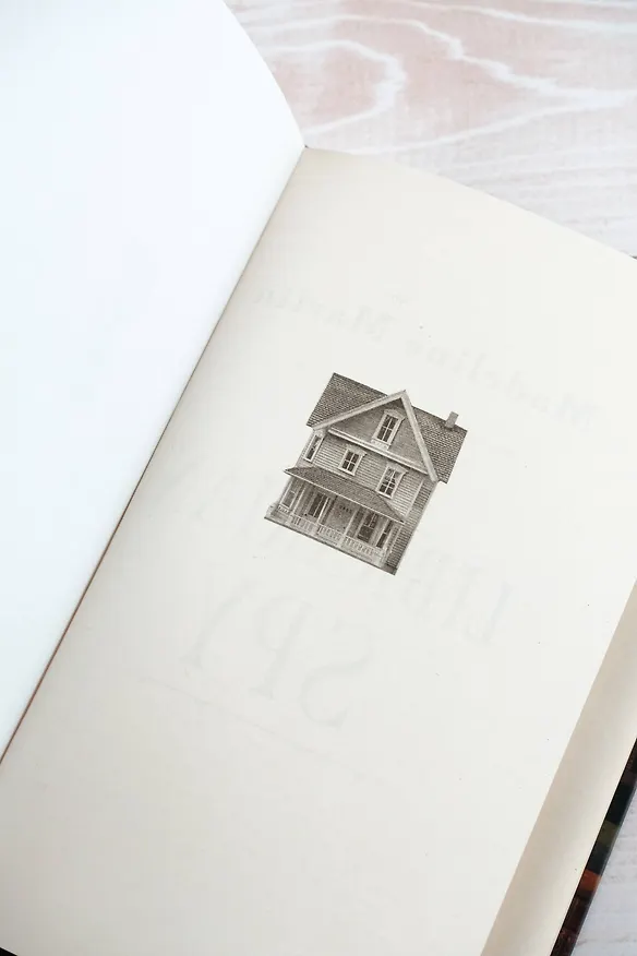 Книга Библиотечный шпион (Мэделин Мартин) — 9