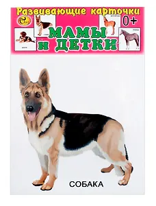 Развивающие карточки Мамы и детки (домашние животные) (0+) (14 карточек)