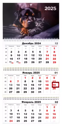 Календарь квартальный 2025г 297*695 "Кот и пёс" настенный, трёхблочный, спираль — 3044699 — 1