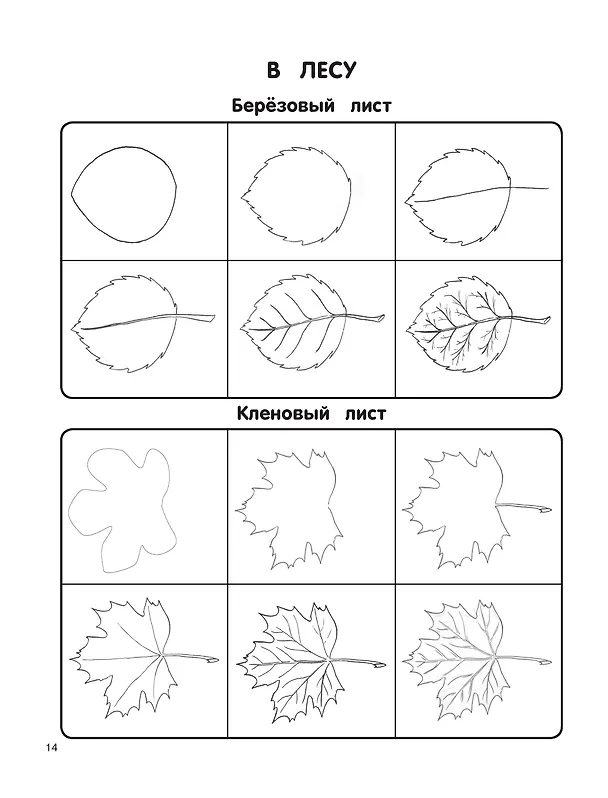 Книга Экспресс-курс по рисованию (Вера Глотова) — 11