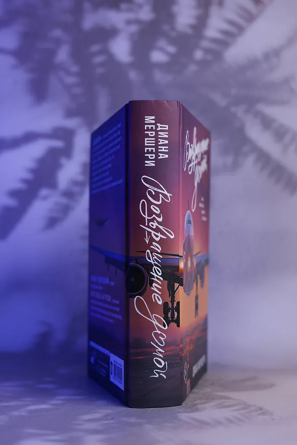 Книга Возвращение домой (Диана Мершери) — 9