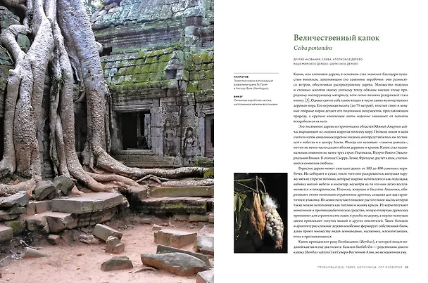 Книга Выдающиеся деревья, которые изменили нашу жизнь (Макс Адамс) — 4