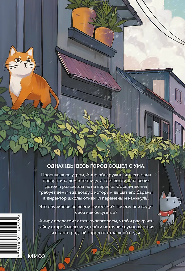 Книга Амир и безумный ингредиент (Шермин Яшар) — 2