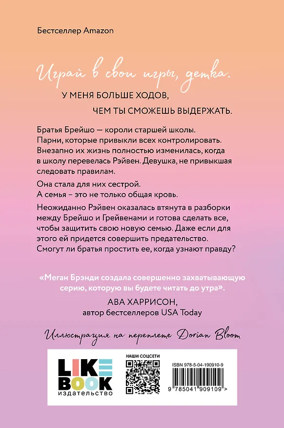 Книга Неприятности в старшей школе (Меган Брэнди) — 2