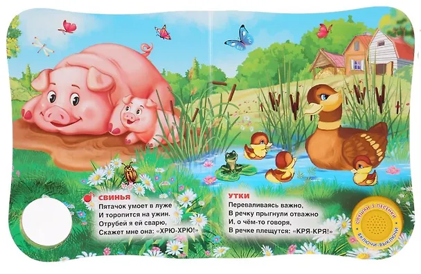 Книга Домашние животные. Книжка-задвижка (Владимир Степанов) — 2