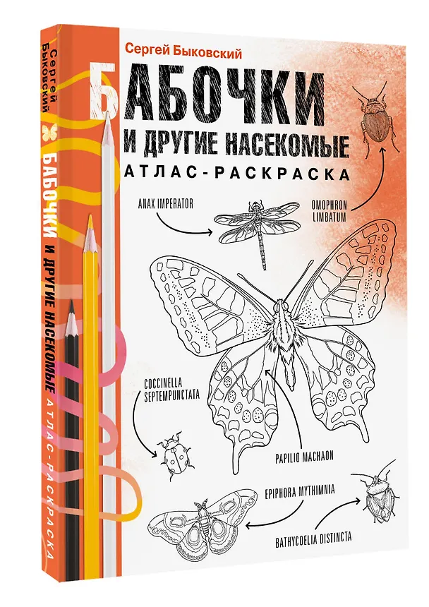 Книга Бабочки и другие насекомые (Сергей Быковский) — 4