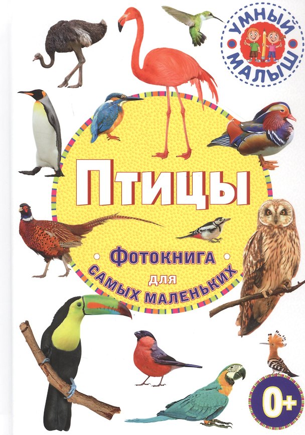 Книга Птицы. Фотокнига для самых маленьких () — 1