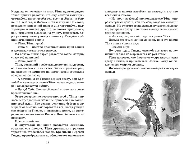 Книга Детство Тёмы (Николай Гарин-Михайловский) — 11