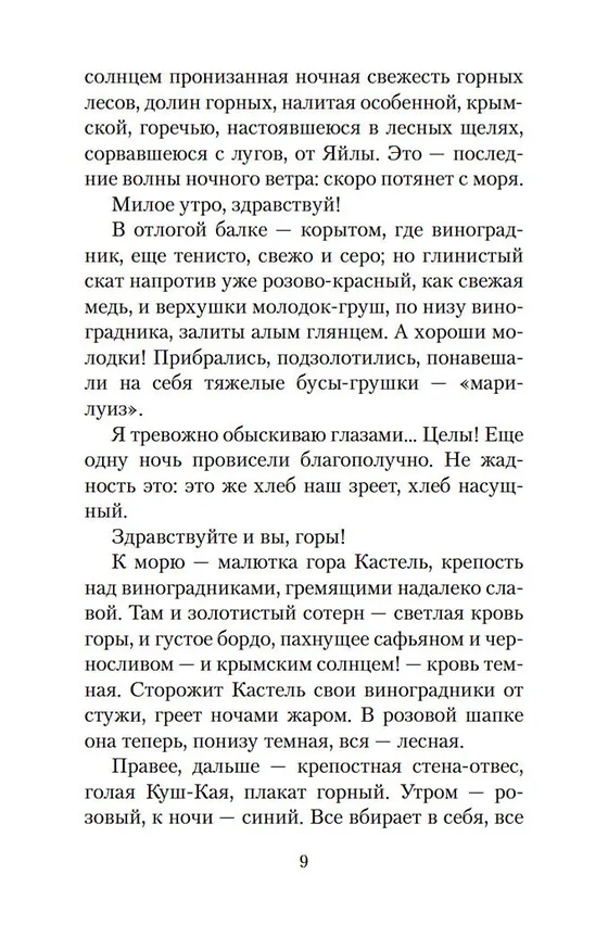 Книга Солнце мертвых (Иван Шмелев) — 12