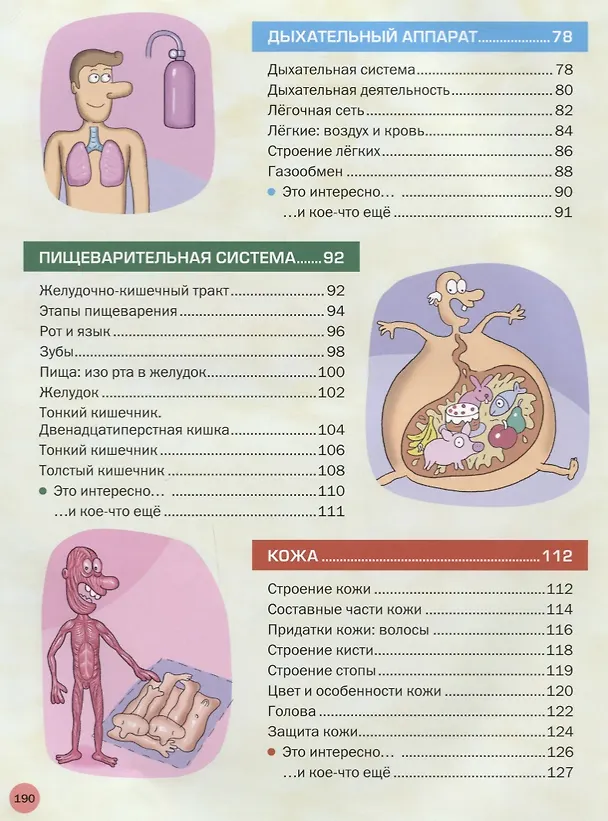 Книга Энциклопедия человека. Как устроено наше тело () — 4