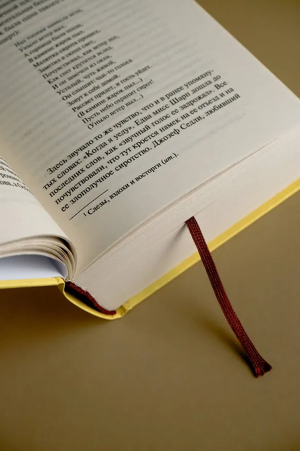 Книга Ярмарка тщеславия (Уильям Мейкпис Теккерей) — 7