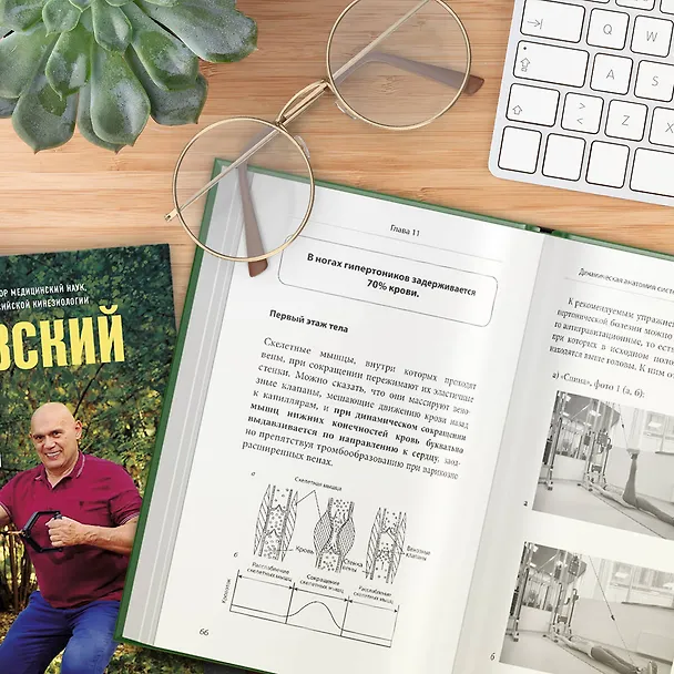 Книга Ленивая гипертония. Как справиться с истинной причиной высокого давления (Сергей Бубновский) — 15