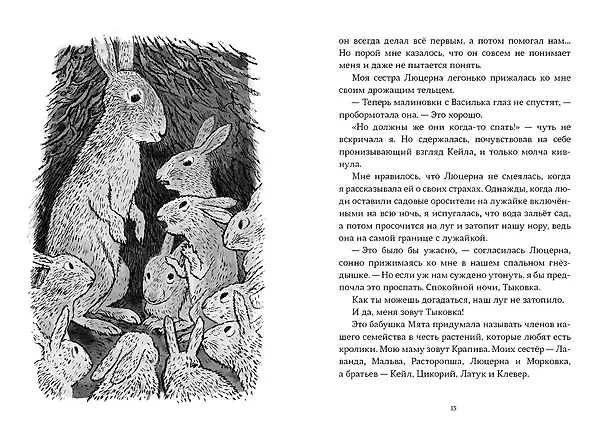 Книга Необыкновенное спасение на Молочайном лугу (Элейн Димопулос) — 4