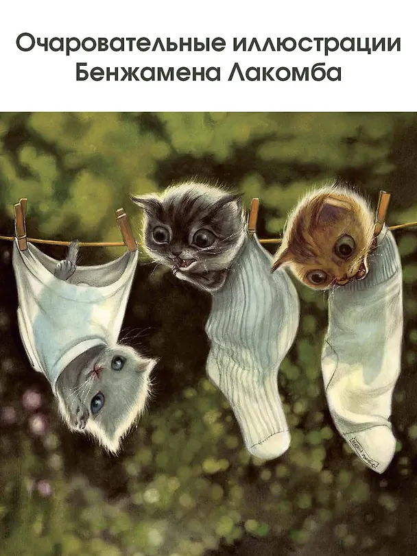 Книга Кошачьи проделки (Себастьен Перез) — 7