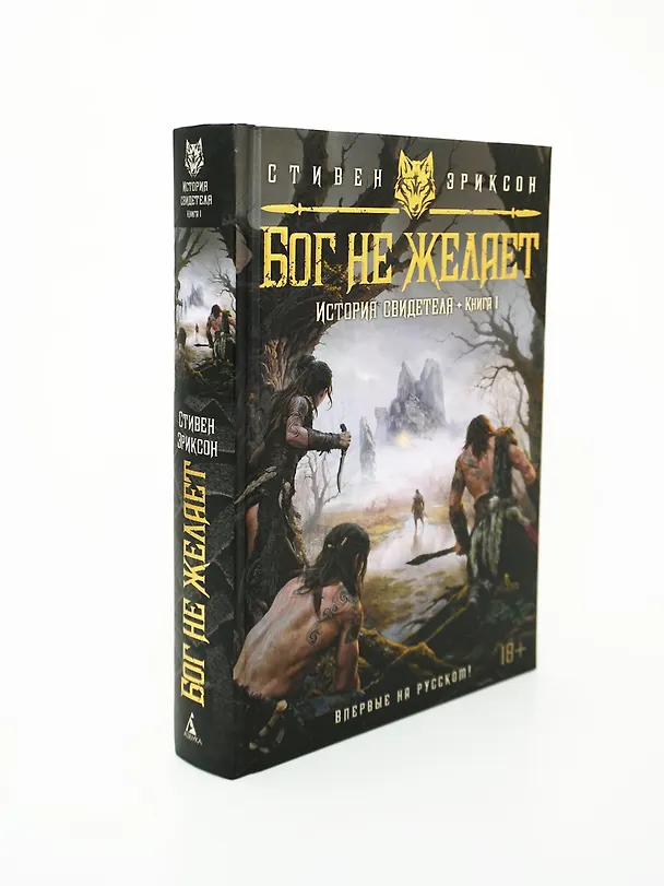 Книга История свидетеля. Книга 1. Бог не желает (Стивен Эриксон) — 13