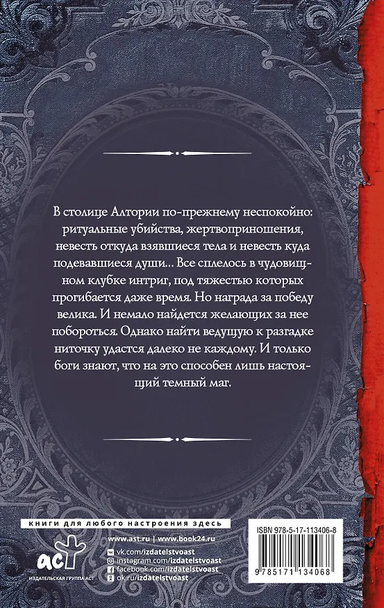 Книга Артур Рэйш. Темный маг (Александра Лисина) — 2
