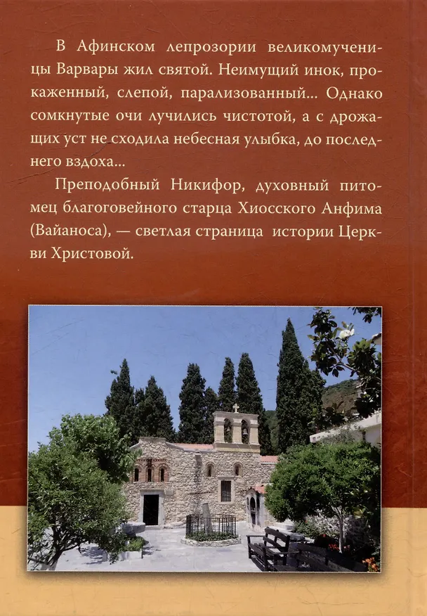 Книга Понесший крест. Преподобный Никифор Прокаженный и его духовник, преподобный Анфим Хиосский () — 2
