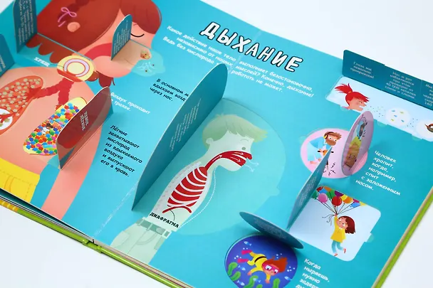 Книга Тело человека () — 10