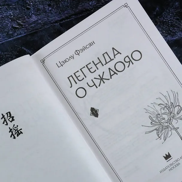 Книга Легенда о Чжаояо. Книга 1 (Цзюлу Фэйсян) — 14