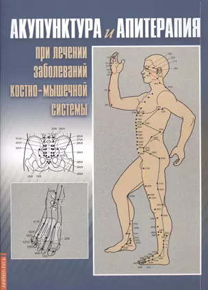 Акупунктура и апитерапия при лечении заболеваний костно-мышечной системы. Практическое руководство — 2556238 — 1