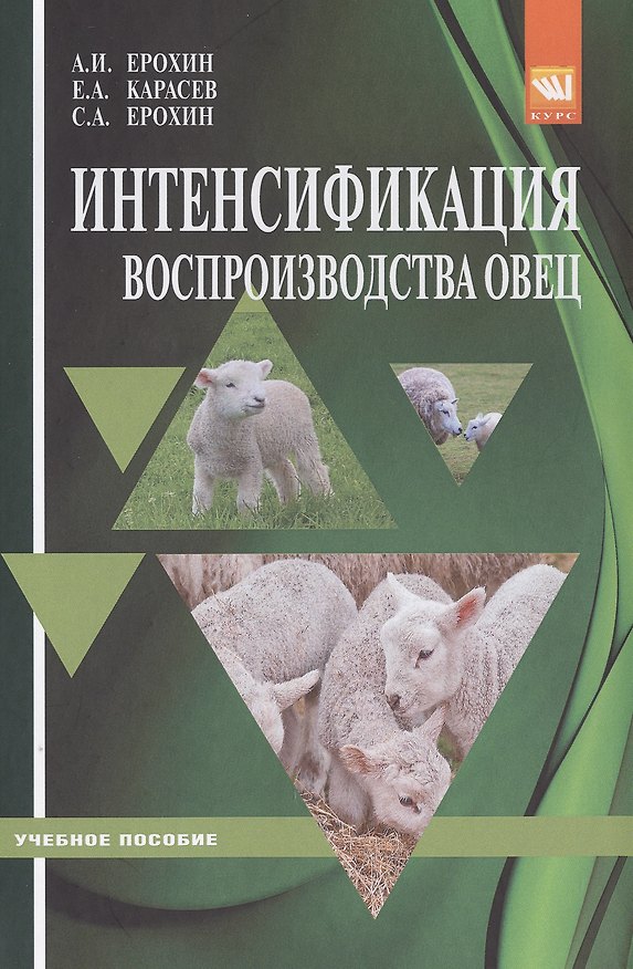 Книга Интенсификация воспроизводства овец (Александр Ерохин) — 1