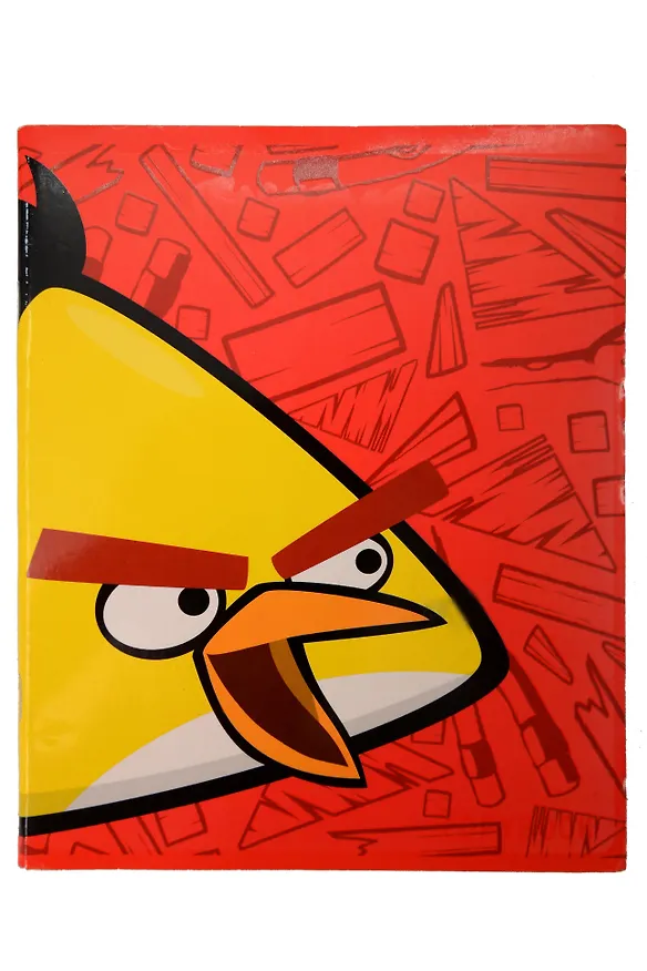 Тетрадь общая «Angry Birds» в ассортименте, 48 листов в линейку, А5 - Hatber 227149 — 1