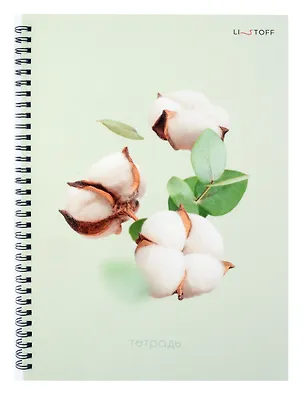 Тетрадь в клетку Listoff, "Невесомость", А4, 80 листов 3032932