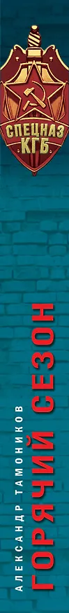 Книга Горячий сезон (Александр Тамоников) — 3