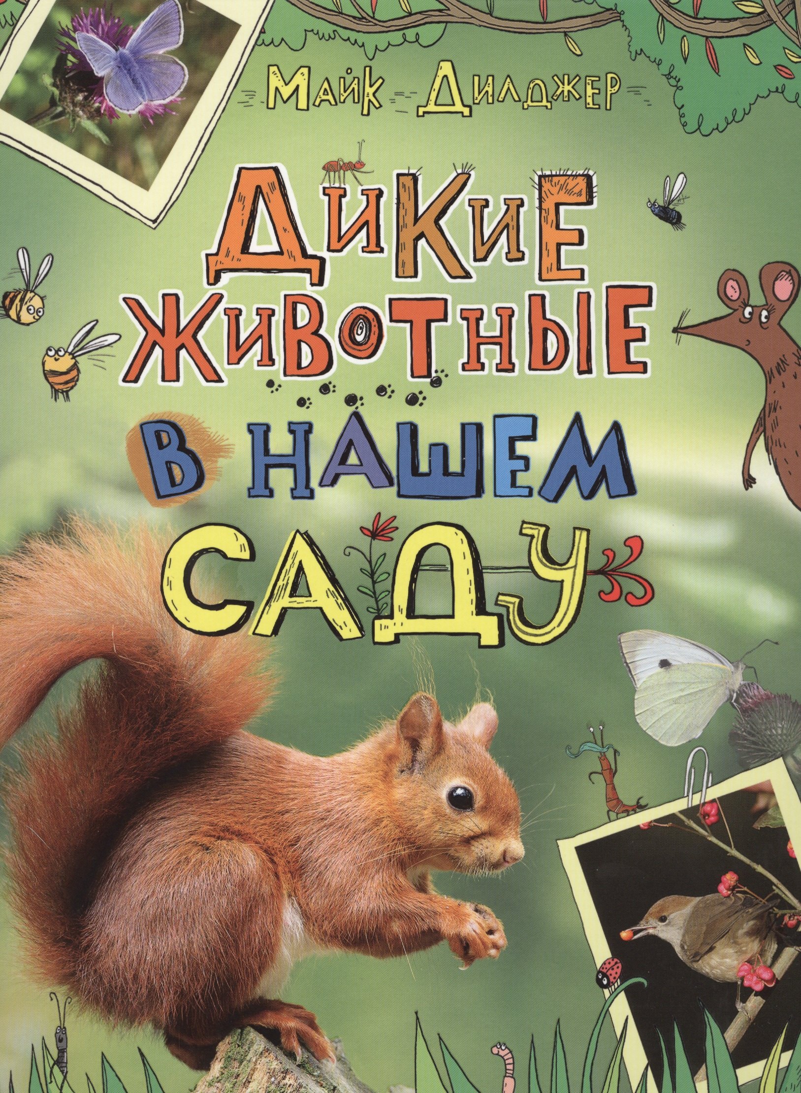 

Дикие животные в нашем саду
