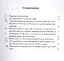 «Русская идея» в русской литературе : учеб. пособие — 2488691 — 2
