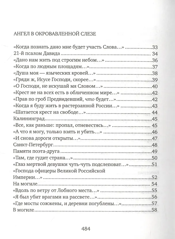 Книга Соколиная книга. Стихи, тексты песен, статьи о поэтах (Сергей Соколкин) — 3