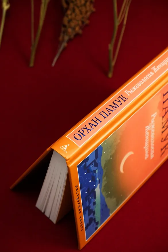 Книга Рыжеволосая Женщина (Орхан Памук) — 14