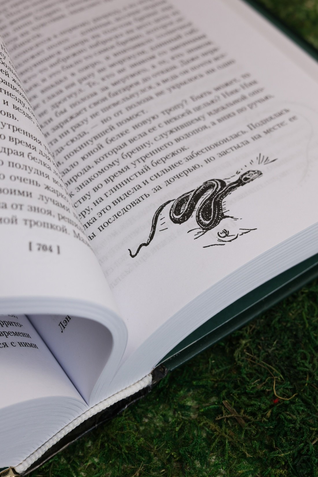 Изображение бумажной книги