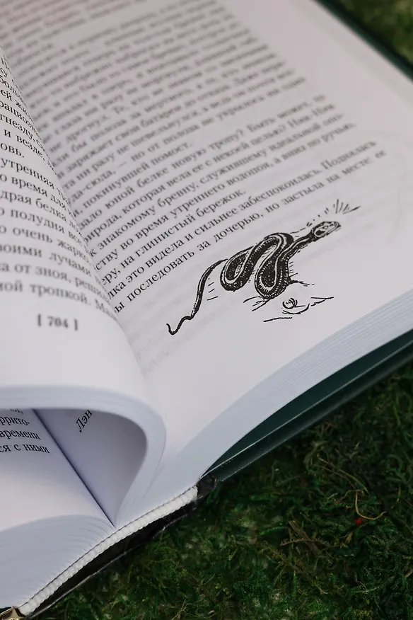 Книга Рольф в лесах. Лесные рассказы (Эрнест Сетон-Томпсон) — 20