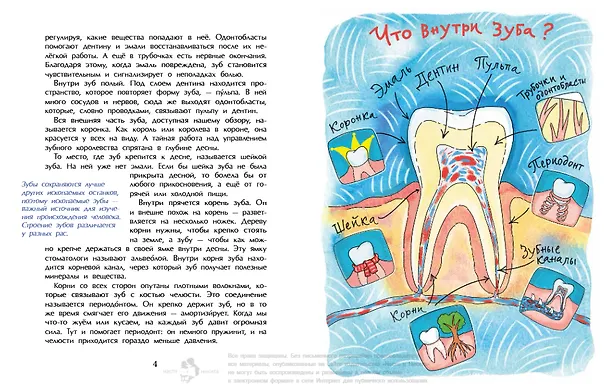 Книга Зубная книжка (Хельга Патаки) — 4
