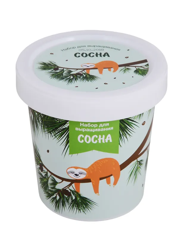 Набор для выращивания Сосна (Ленивец) (НВ2018-16) 2678405 — 1