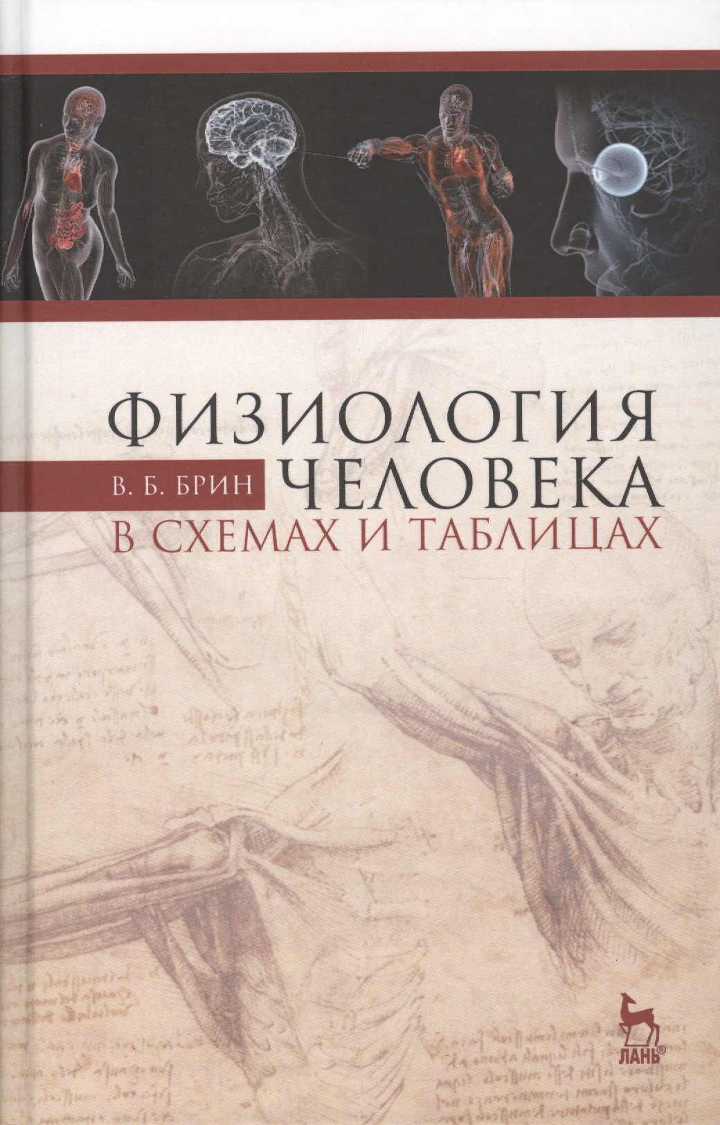 Физиология человека в схемах и таблицах: Уч.пособие, 3-е изд., перераб и доп.