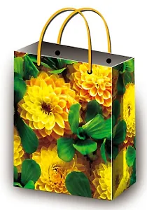 Пакет подарочный бумажный А5 14*20 ламинат, жен.тематика, ассорти MS, МегаМАГ