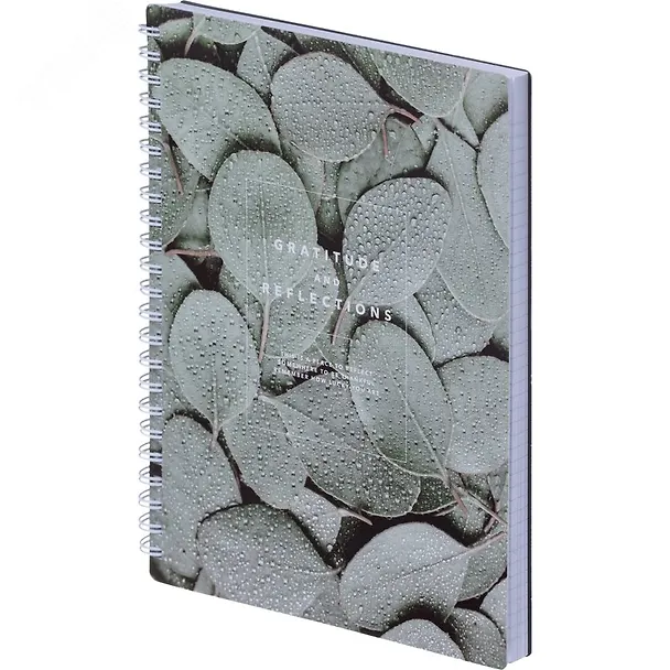 Тетрадь общая «Botanica. Эвкалипт популус», 120 листов в клетку, А5 - Be Smart 3032681 — 3