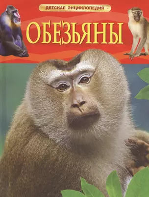 Обезьяны — 2487181 — 1