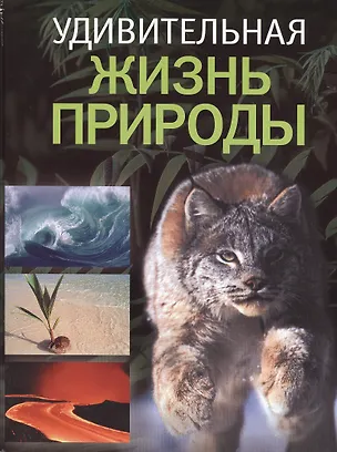 Книга Удивительная жизнь природы ()