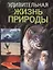Удивительная жизнь природы — 2418310 — 1