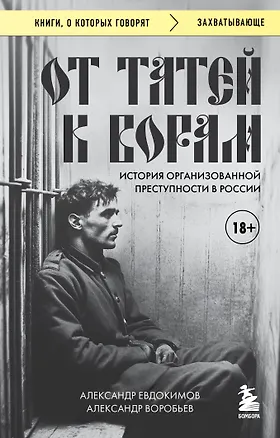 Книга От татей к ворам: история организованной преступности в России (Александр Воробьев, Александр Евдокимов)