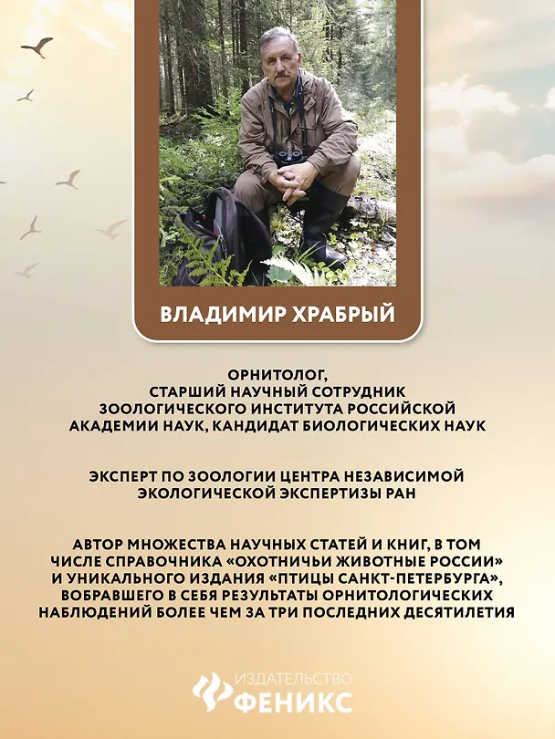 Книга Птицы Европейской части России: фотоопределитель (Владимир Храбрый) — 11