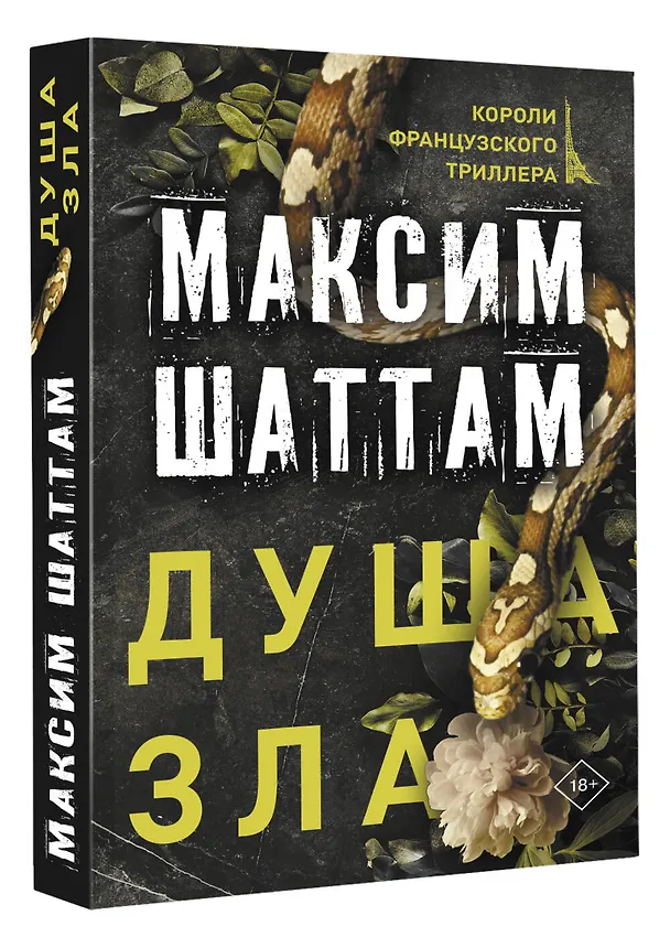 Книга Душа зла (Максим Шаттам) — 4