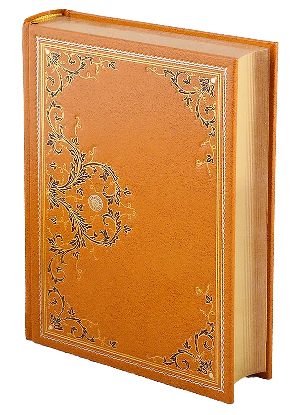 Книга Гаспар-гаучо () — 2